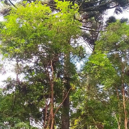 Chacara Rancho Paraiso Piraquara 外观 照片