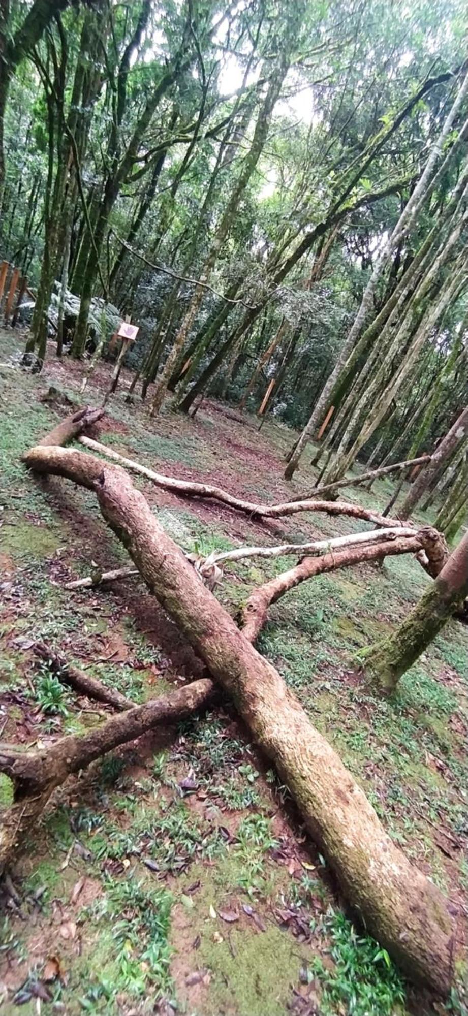 Chacara Rancho Paraiso Piraquara 外观 照片