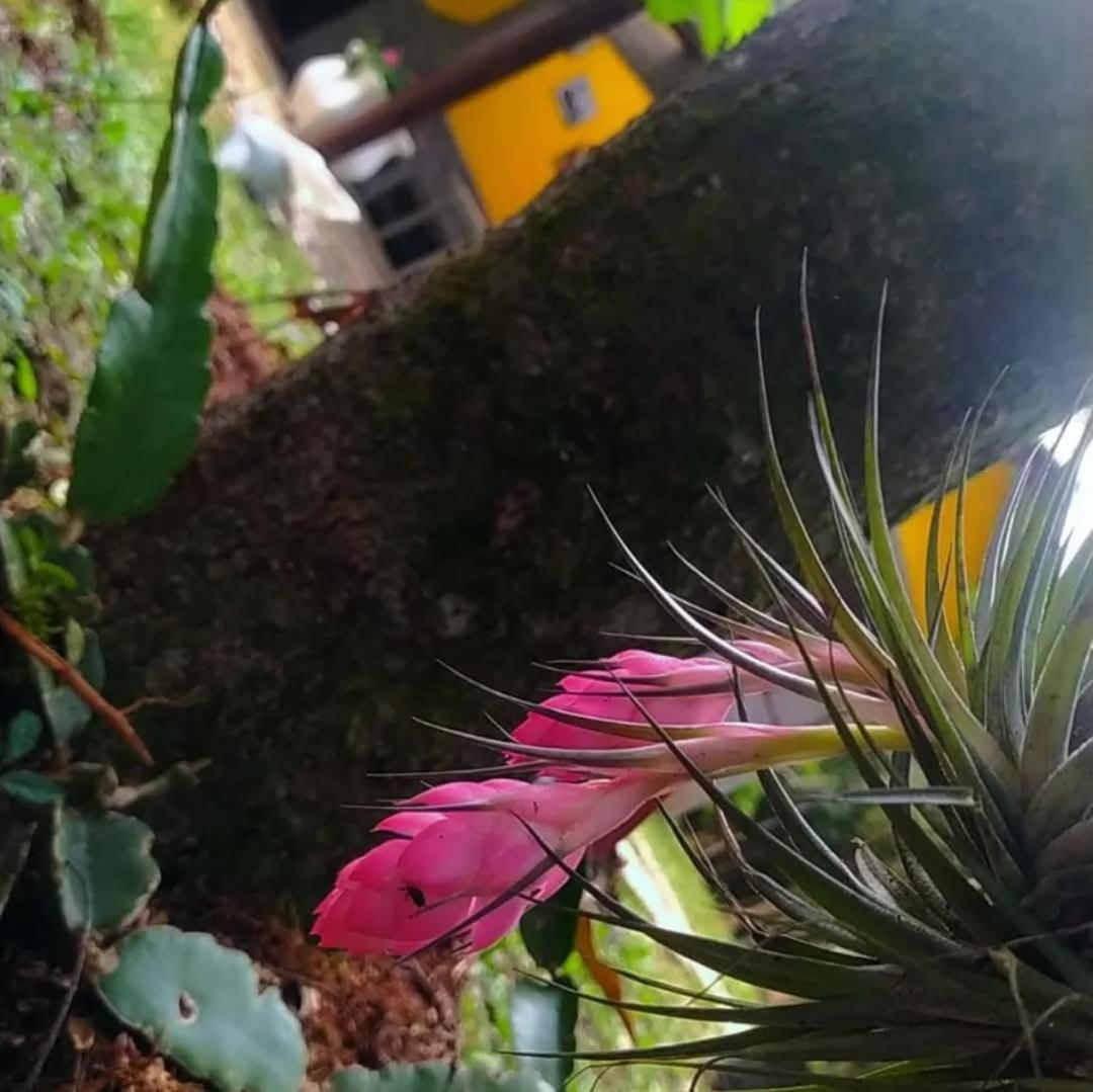 Chacara Rancho Paraiso Piraquara 外观 照片
