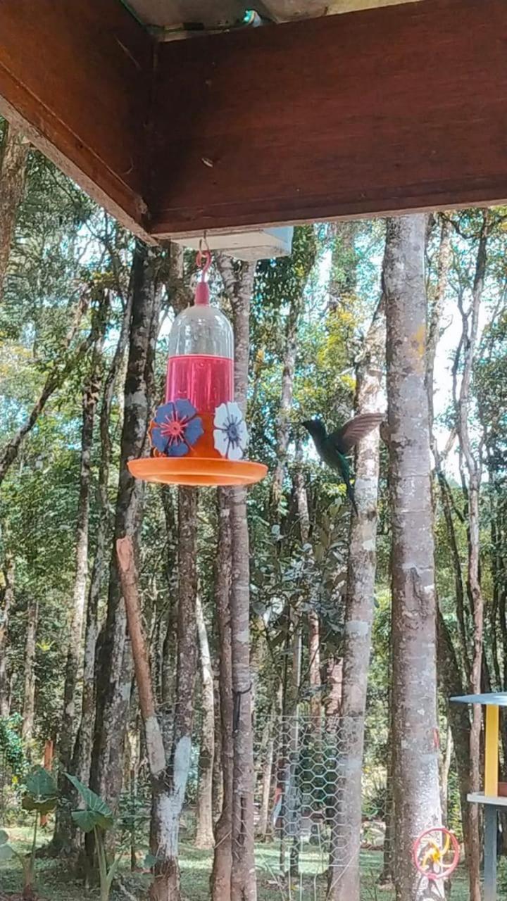 Chacara Rancho Paraiso Piraquara 外观 照片