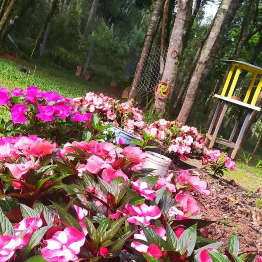 Chacara Rancho Paraiso Piraquara 外观 照片