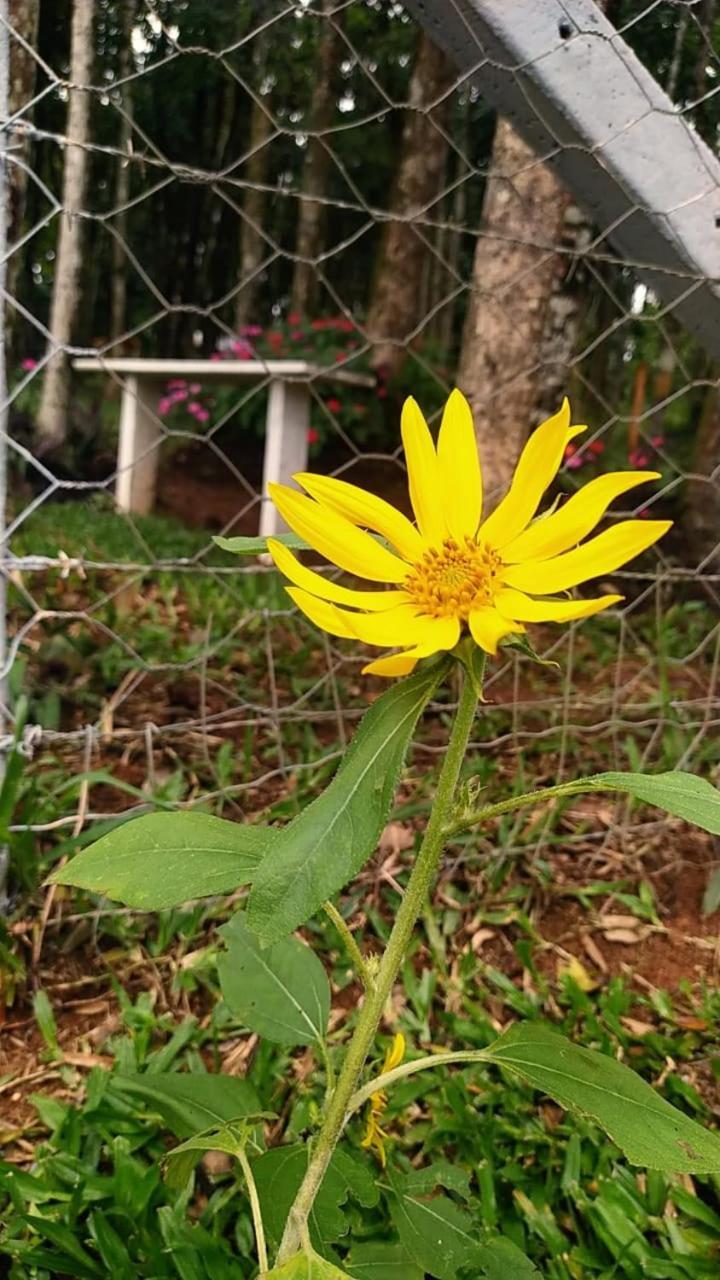 Chacara Rancho Paraiso Piraquara 外观 照片
